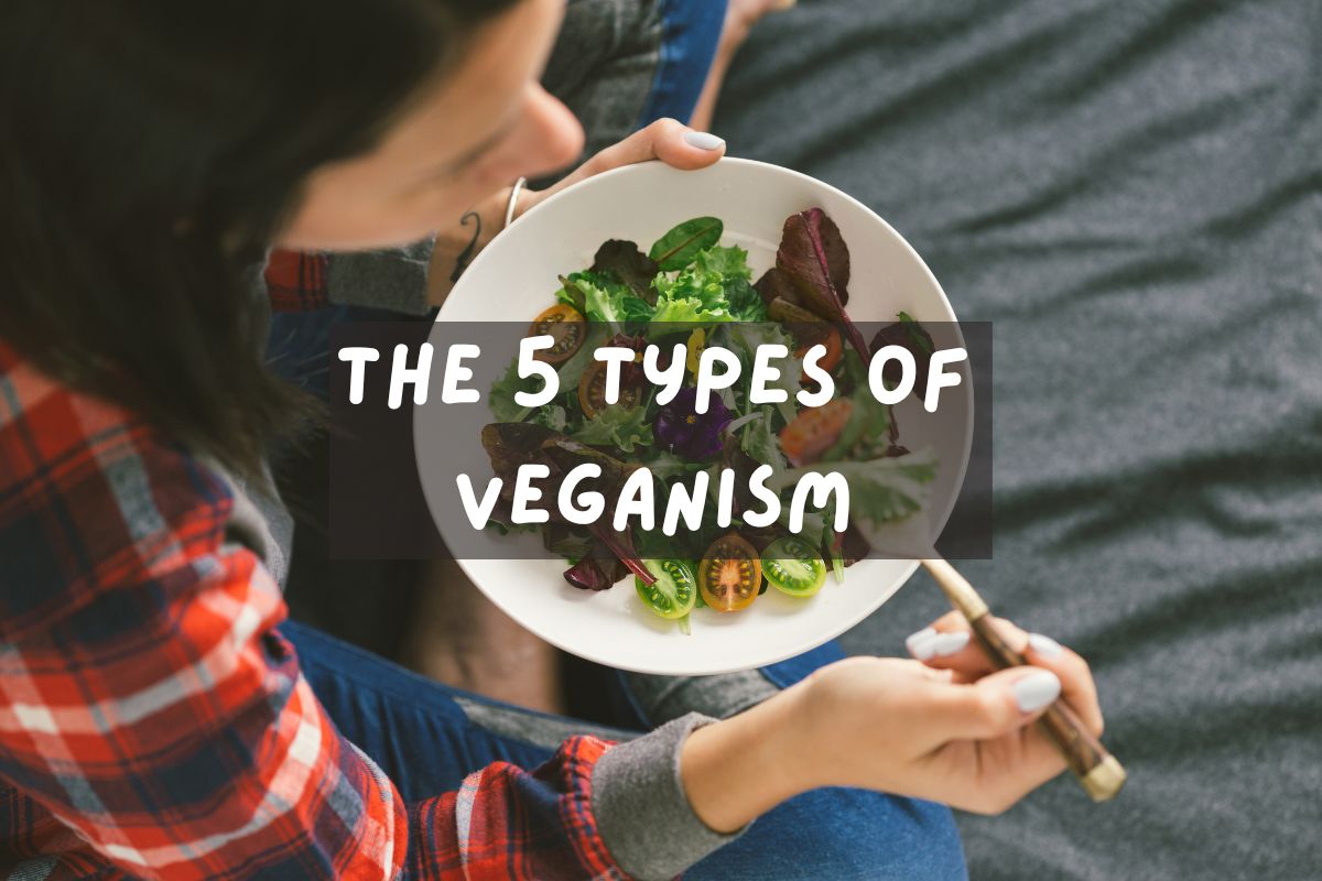 Vegan Restaurants Vegan Restaurants Near Me Vegan Eats is the
